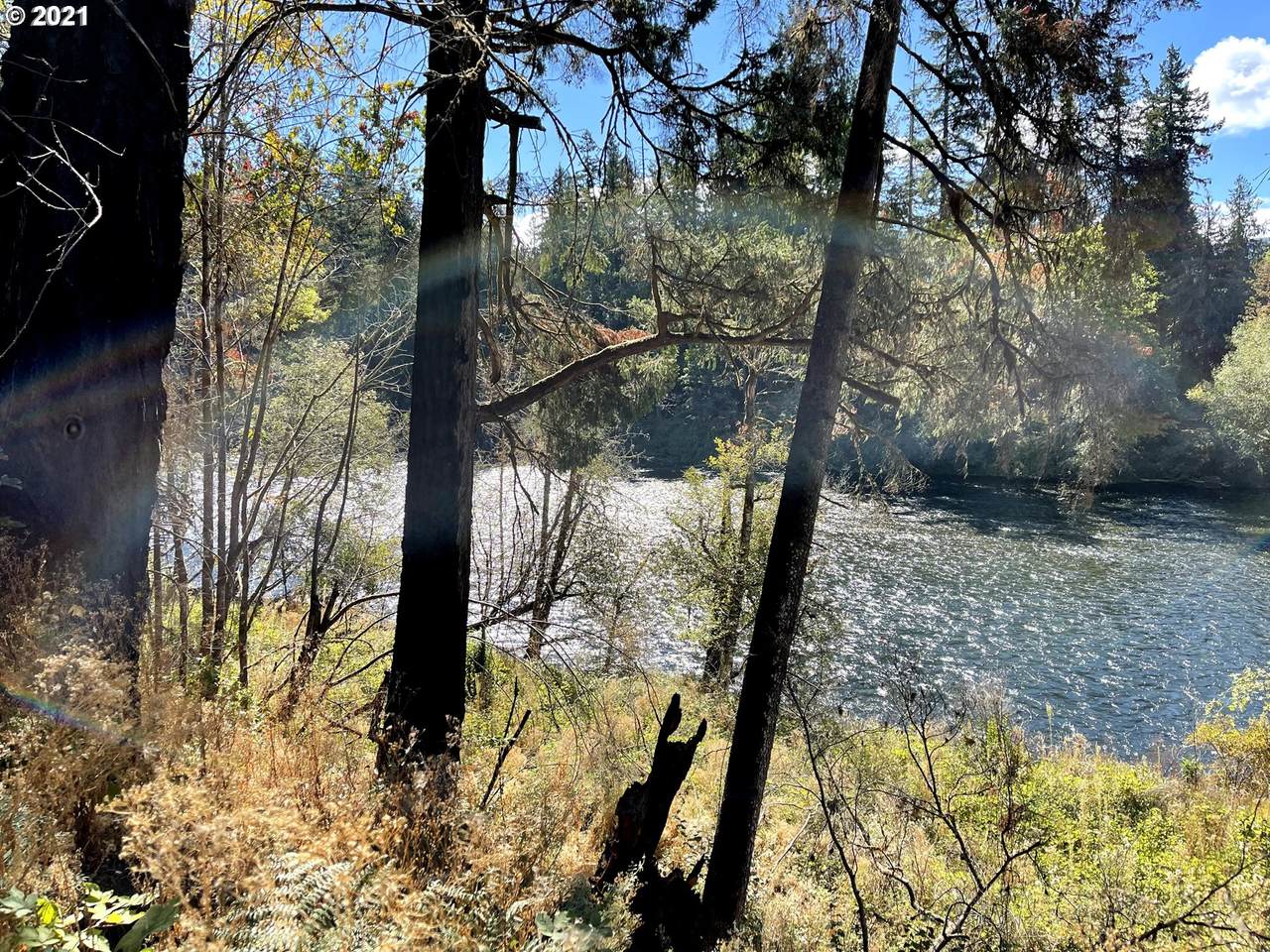 25375 Santiam Park Rd - Photo 1