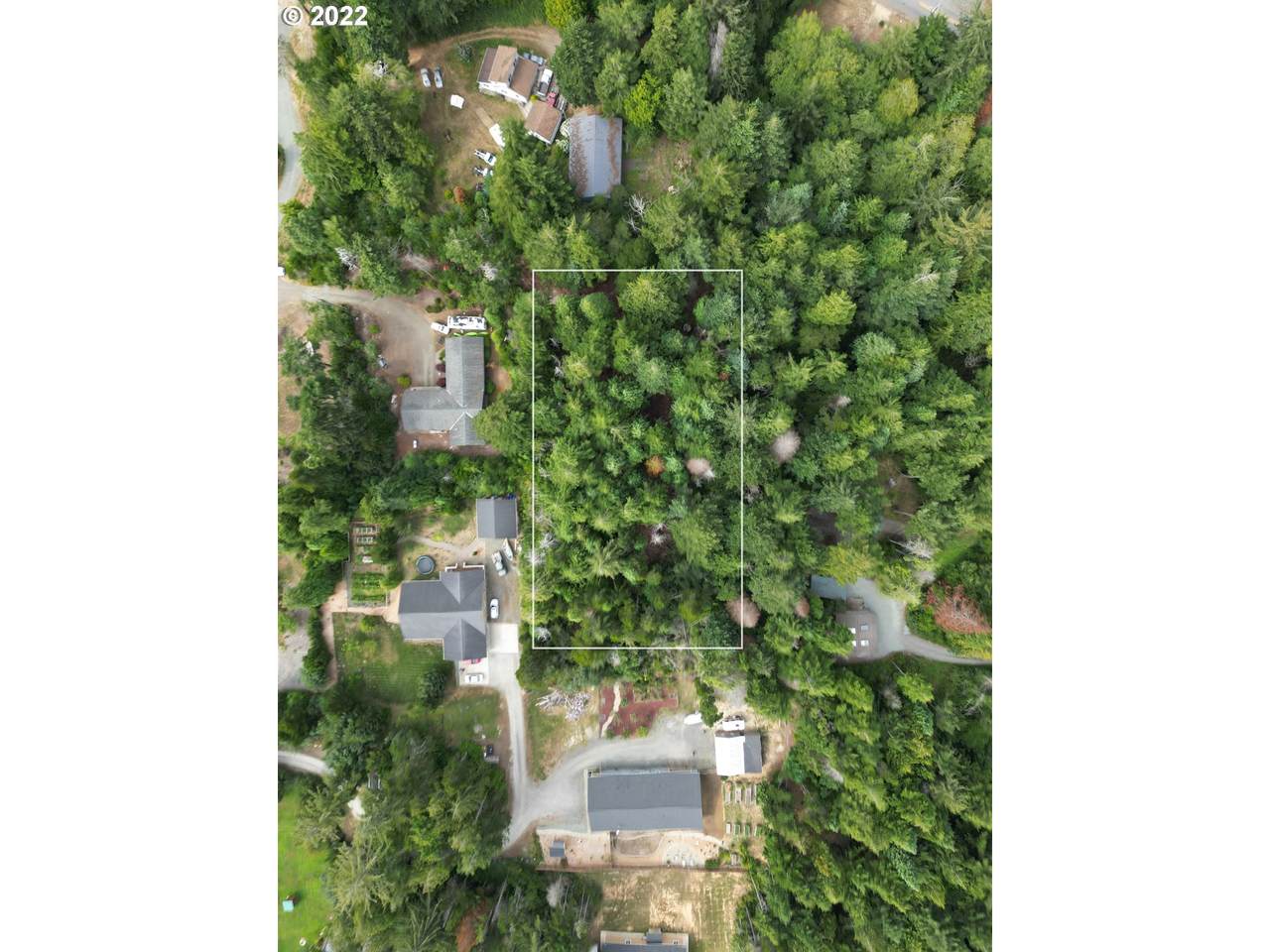 Daisy Ln - Photo 1