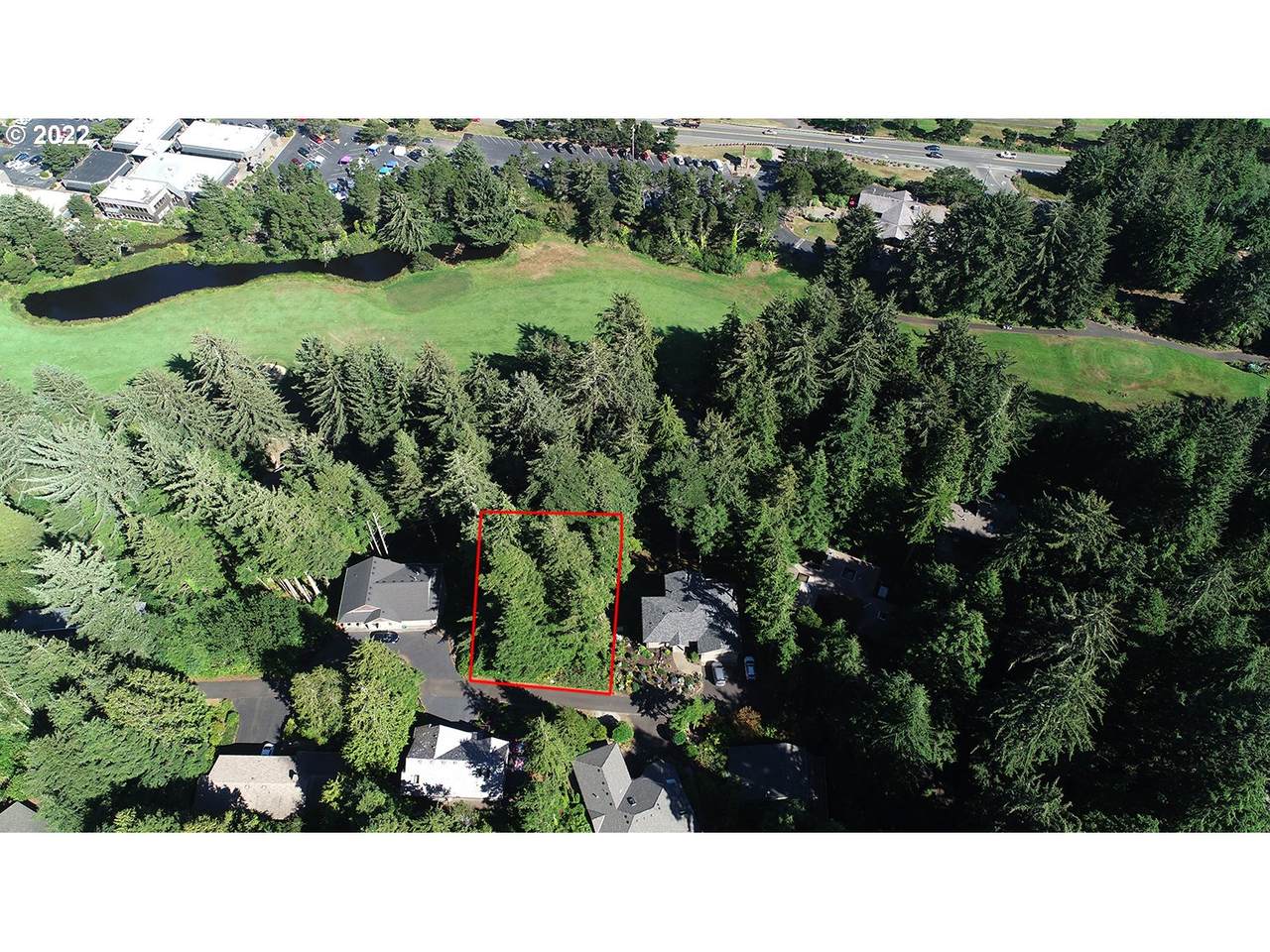 13 Big Tree Rd - Photo 1