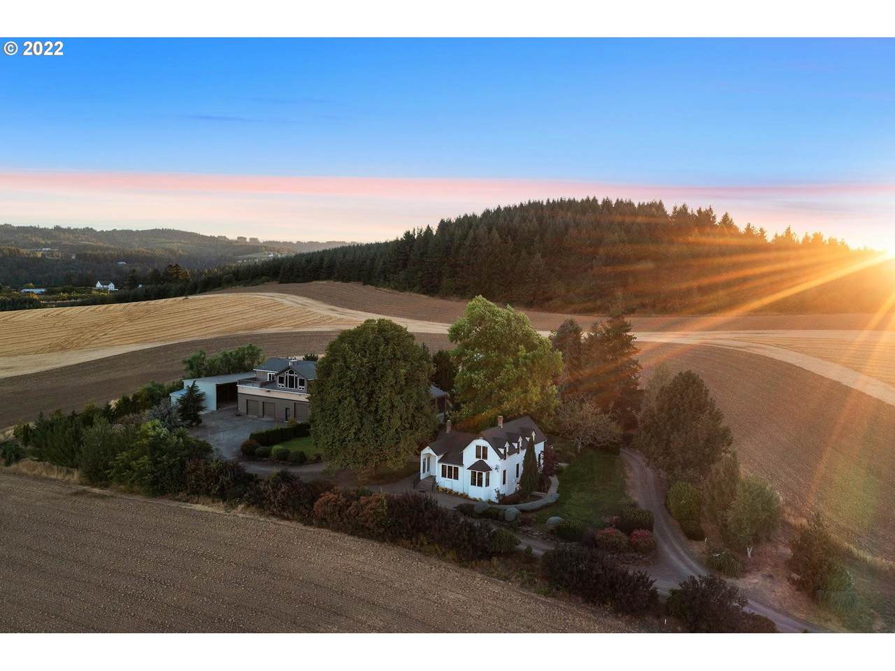 29000 Mcnay Rd - Photo 1