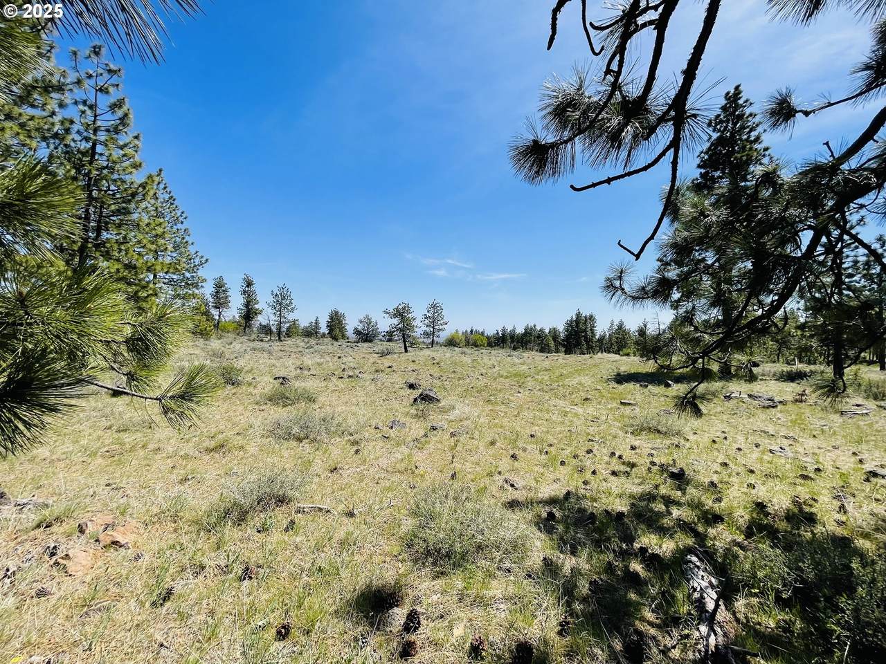Jensen Quarry Rd - Photo 1