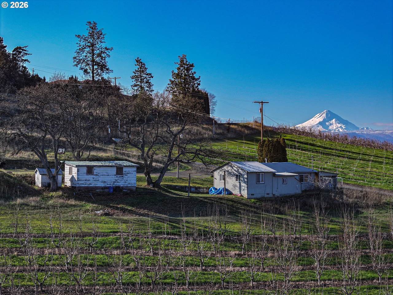 3699 Skyline Rd - Photo 1