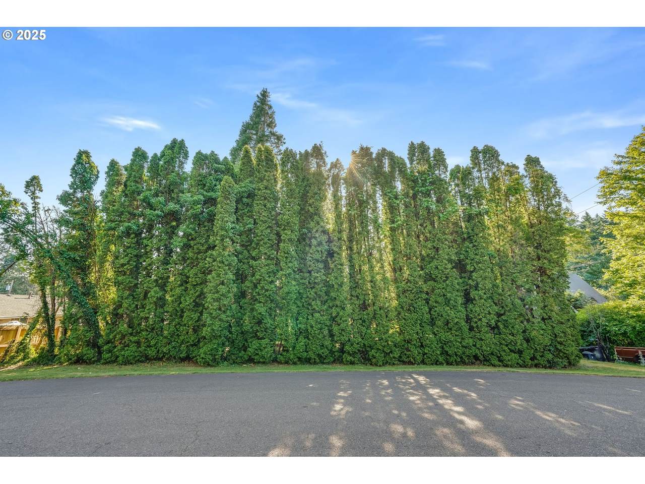 4142 Hamilton St - Photo 1