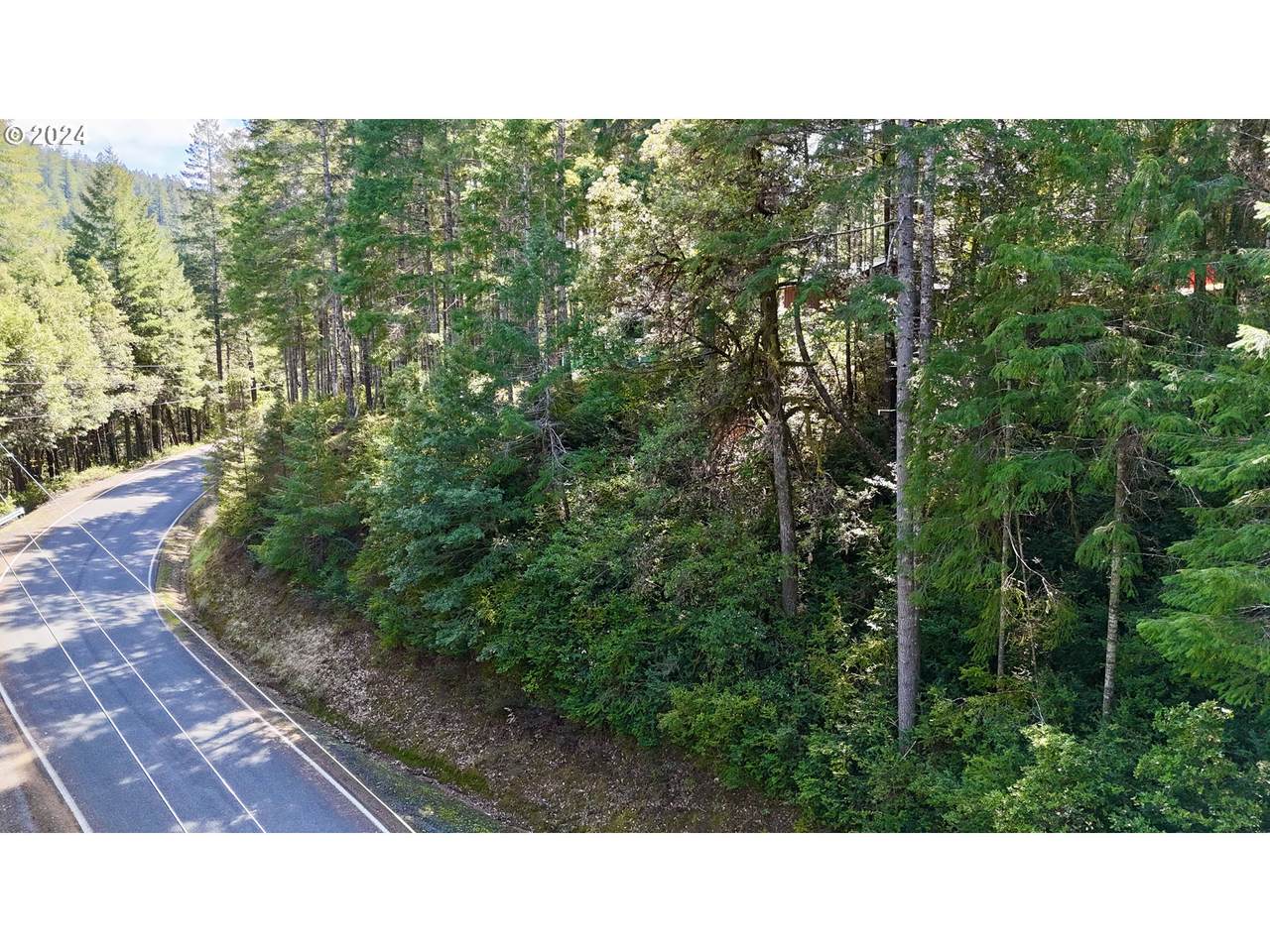 Agness-Illahe Rd - Photo 1