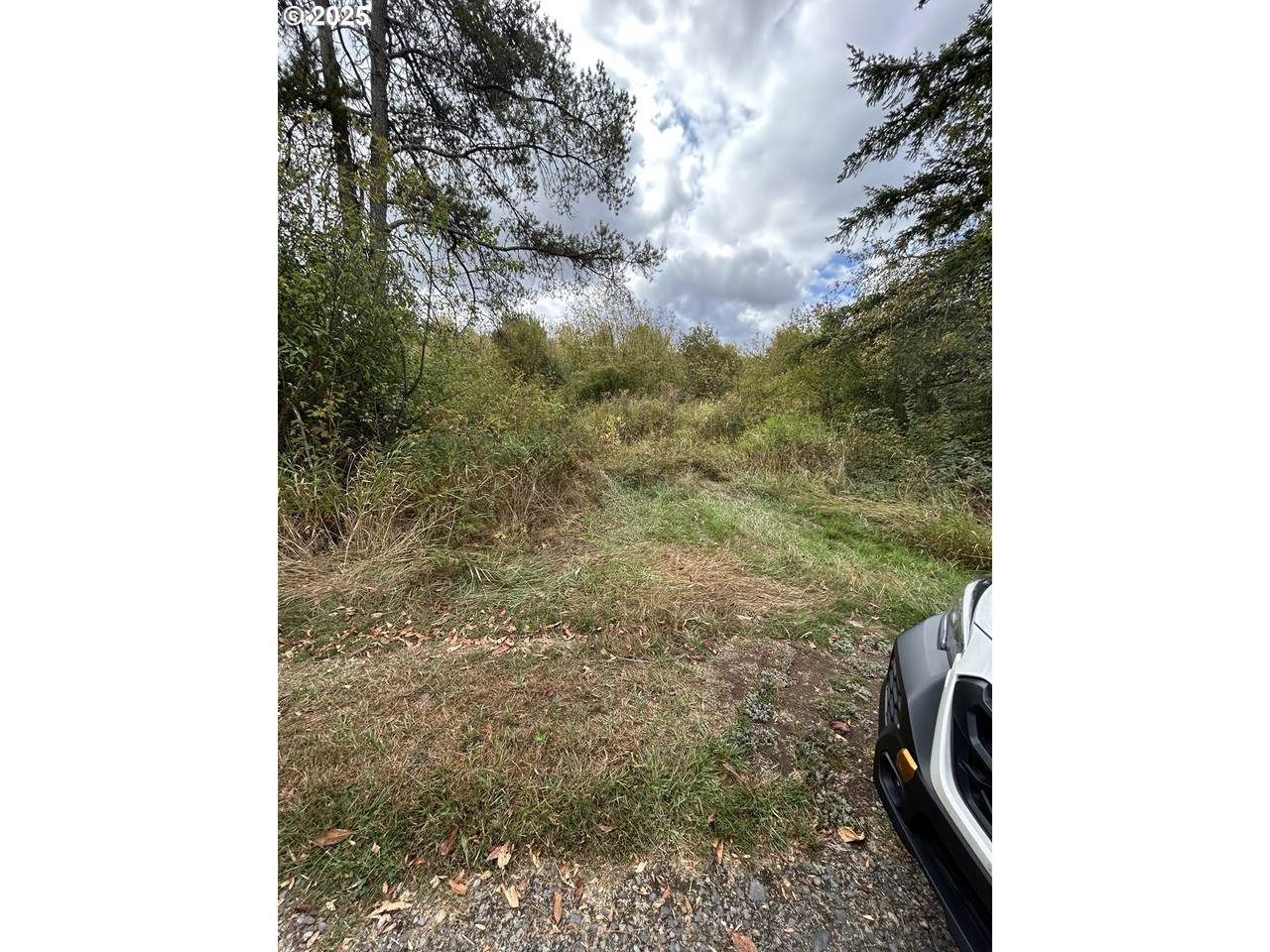 0 Nicholson Rd - Photo 1