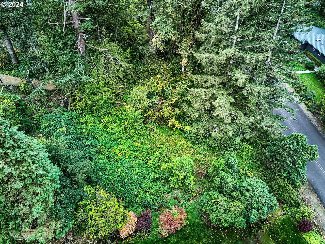 24 Lake Shore Dr - Photo 1