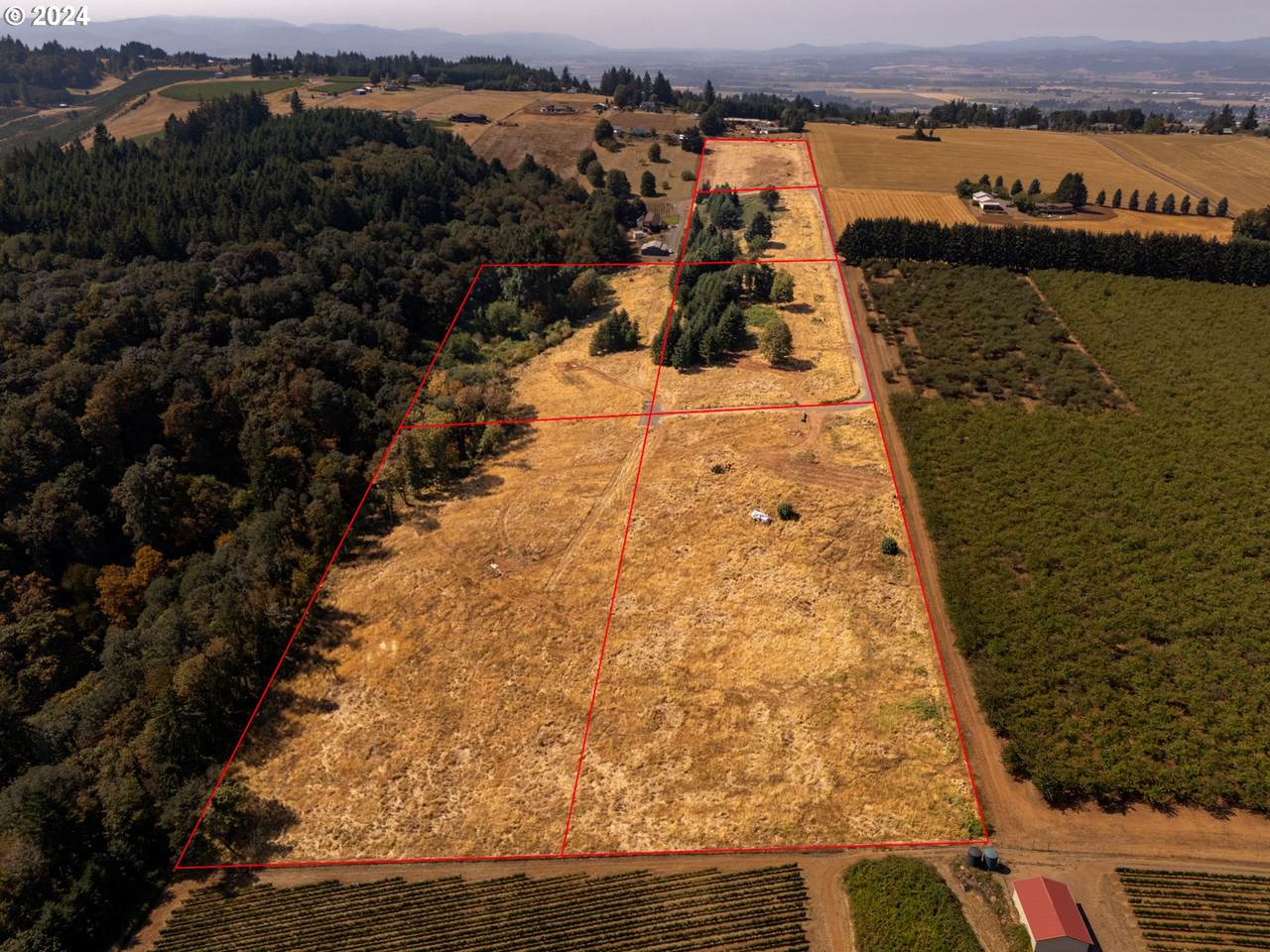 53 Franquette - Photo 1