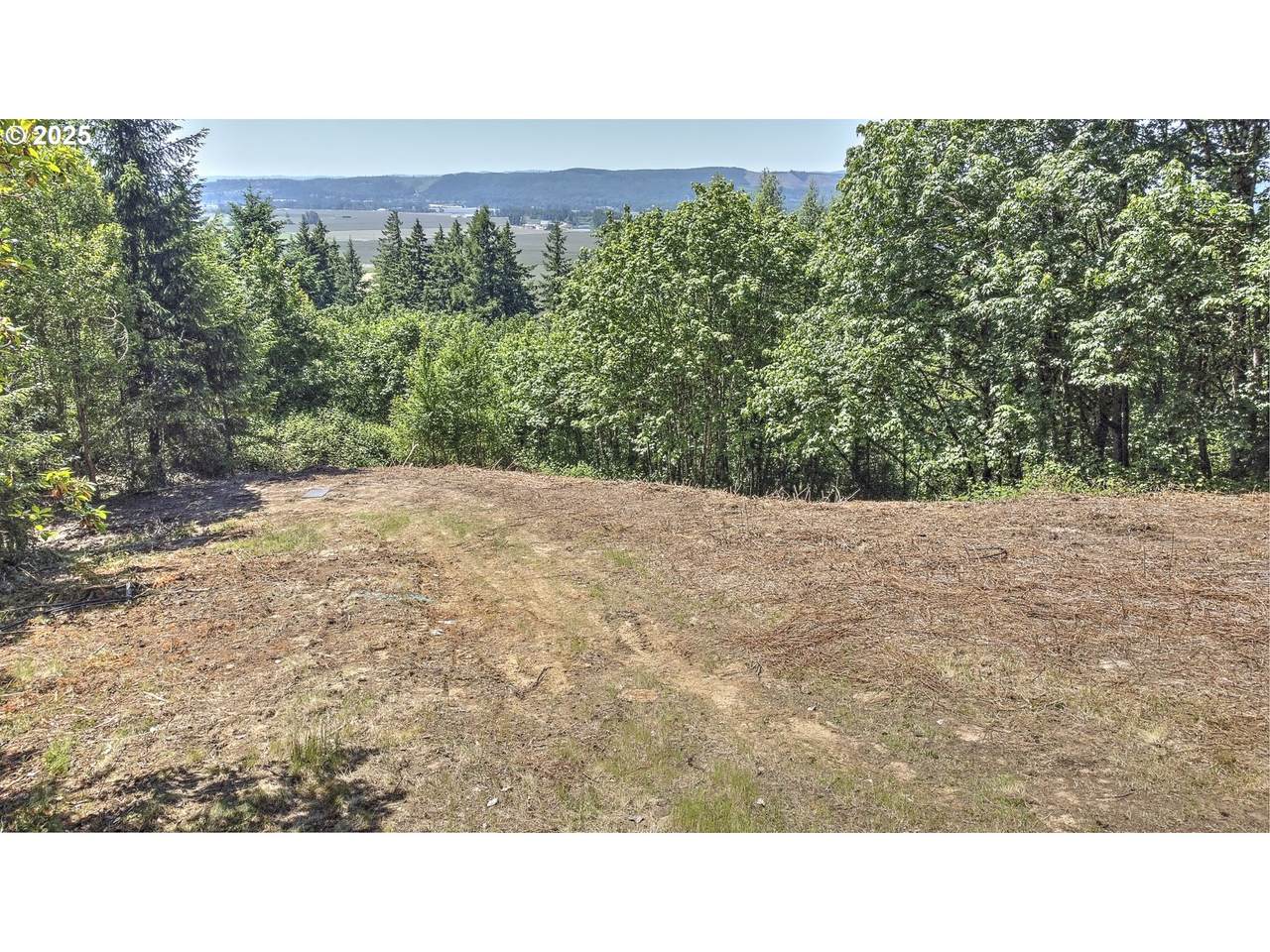 0 Columbia View Dr - Photo 1