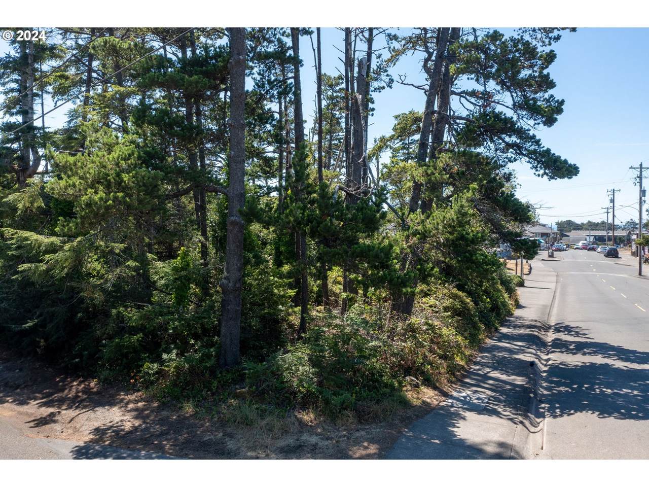  Laneda At 4th Place - Photo 1