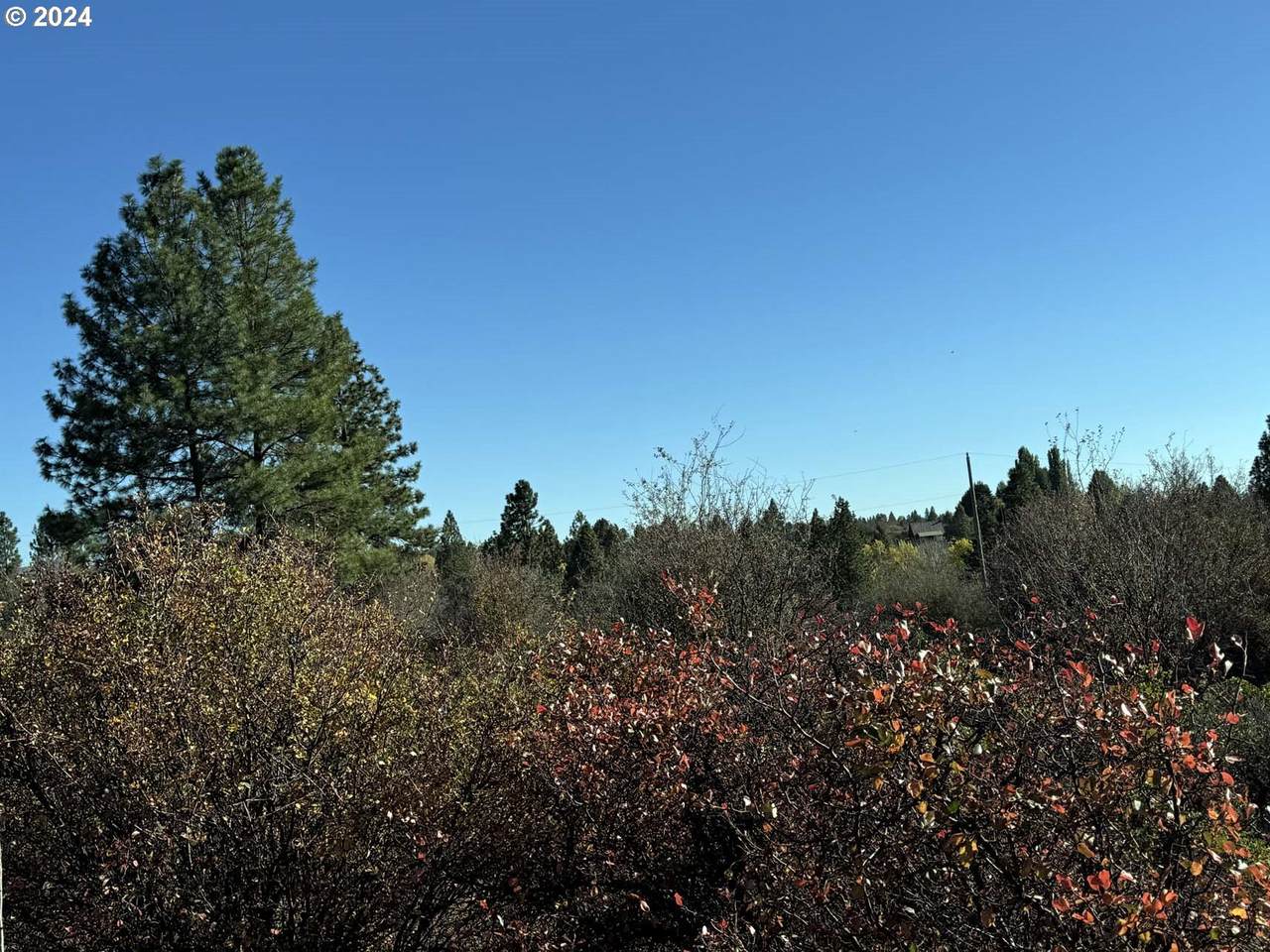 https://bt-photos.global.ssl.fastly.net/portland/1280_boomver_2_24468289-2.jpg
