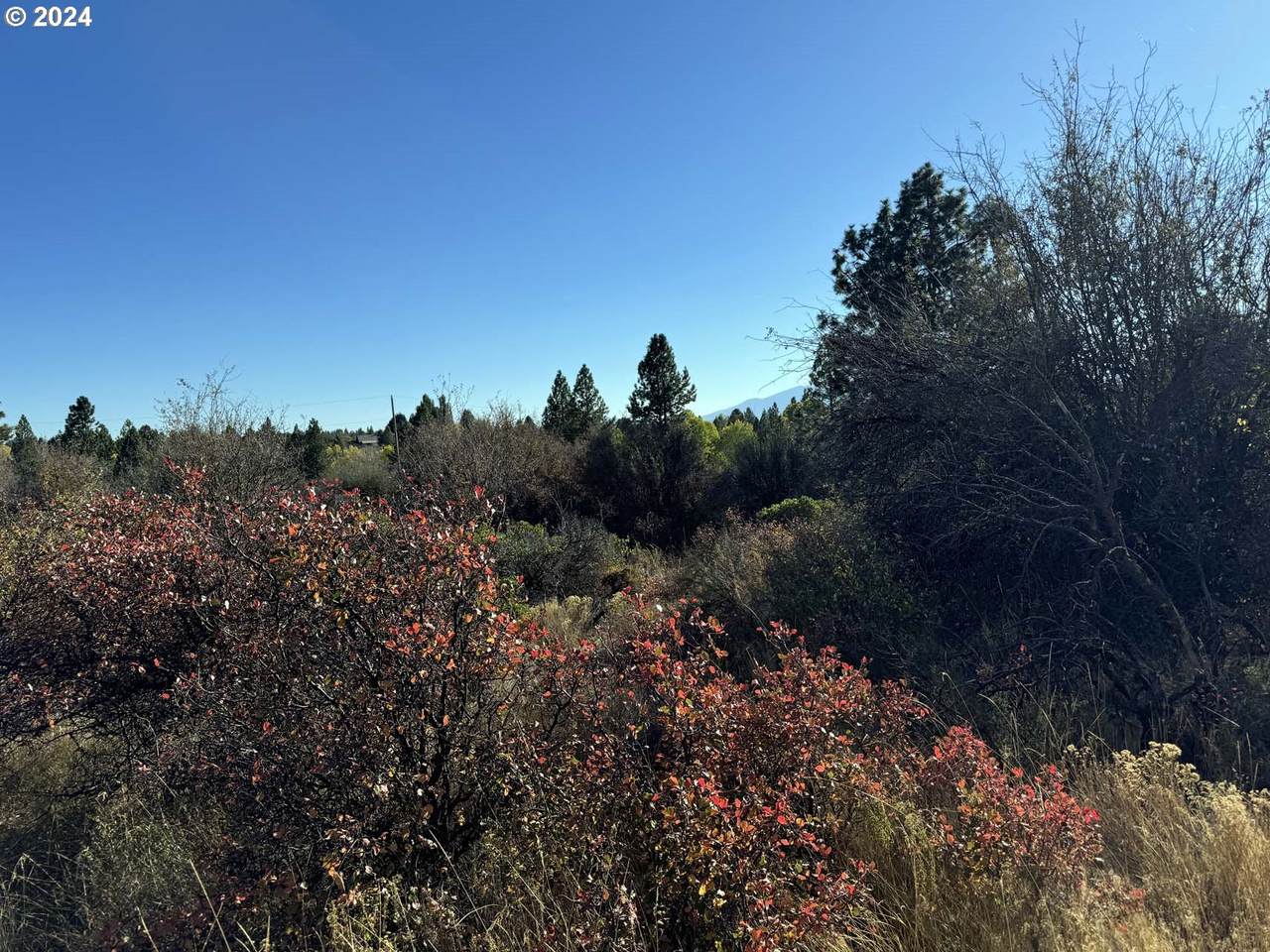 https://bt-photos.global.ssl.fastly.net/portland/1280_boomver_2_24468289-2.jpg