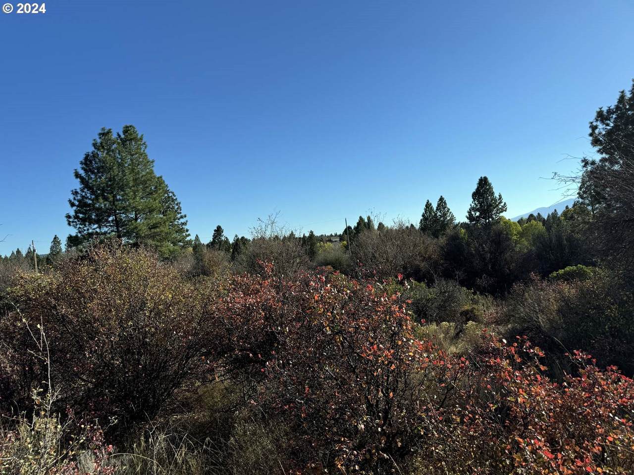 https://bt-photos.global.ssl.fastly.net/portland/1280_boomver_2_24468289-2.jpg