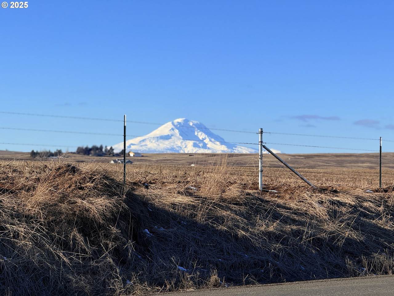 323 Roosevelt St - Photo 1