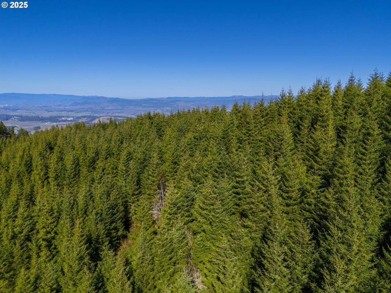 https://bt-photos.global.ssl.fastly.net/portland/1280_boomver_2_24642039-2.jpg