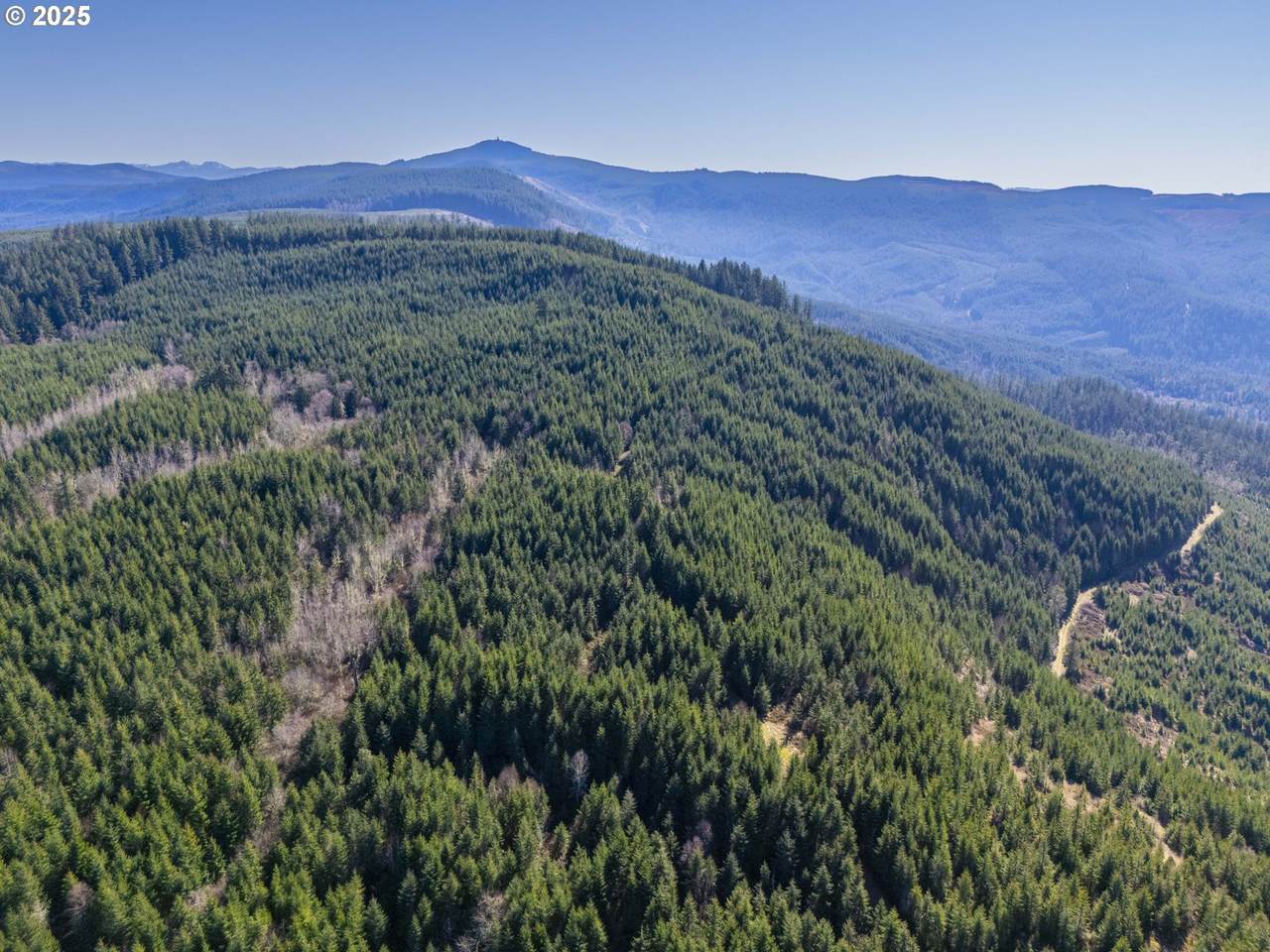 https://bt-photos.global.ssl.fastly.net/portland/1280_boomver_2_24642039-2.jpg