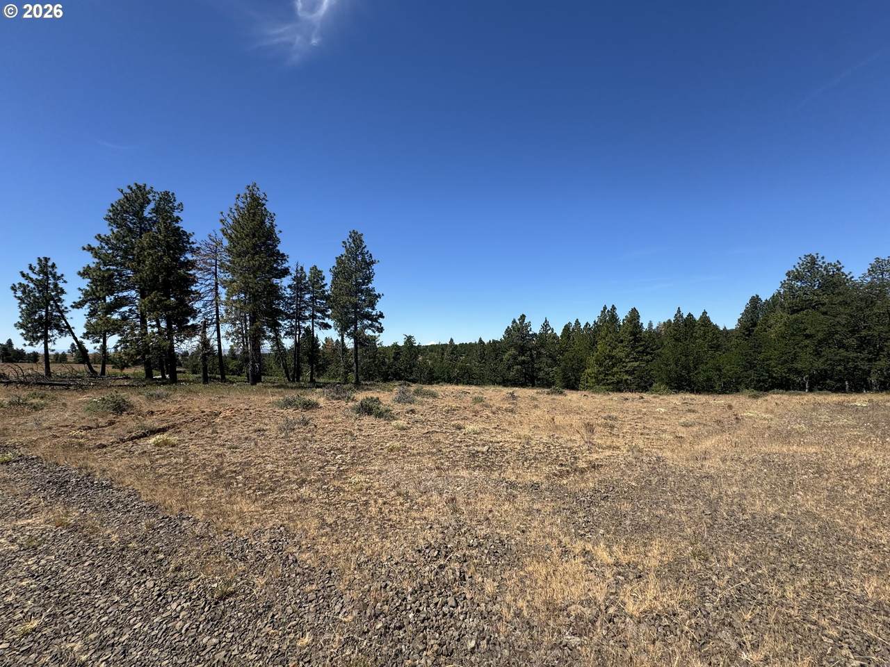 https://bt-photos.global.ssl.fastly.net/portland/1280_boomver_2_248978344-2.jpg