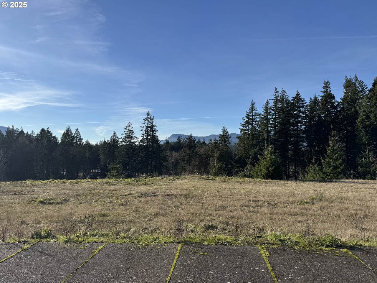 https://bt-photos.global.ssl.fastly.net/portland/1280_boomver_2_274879993-2.jpg