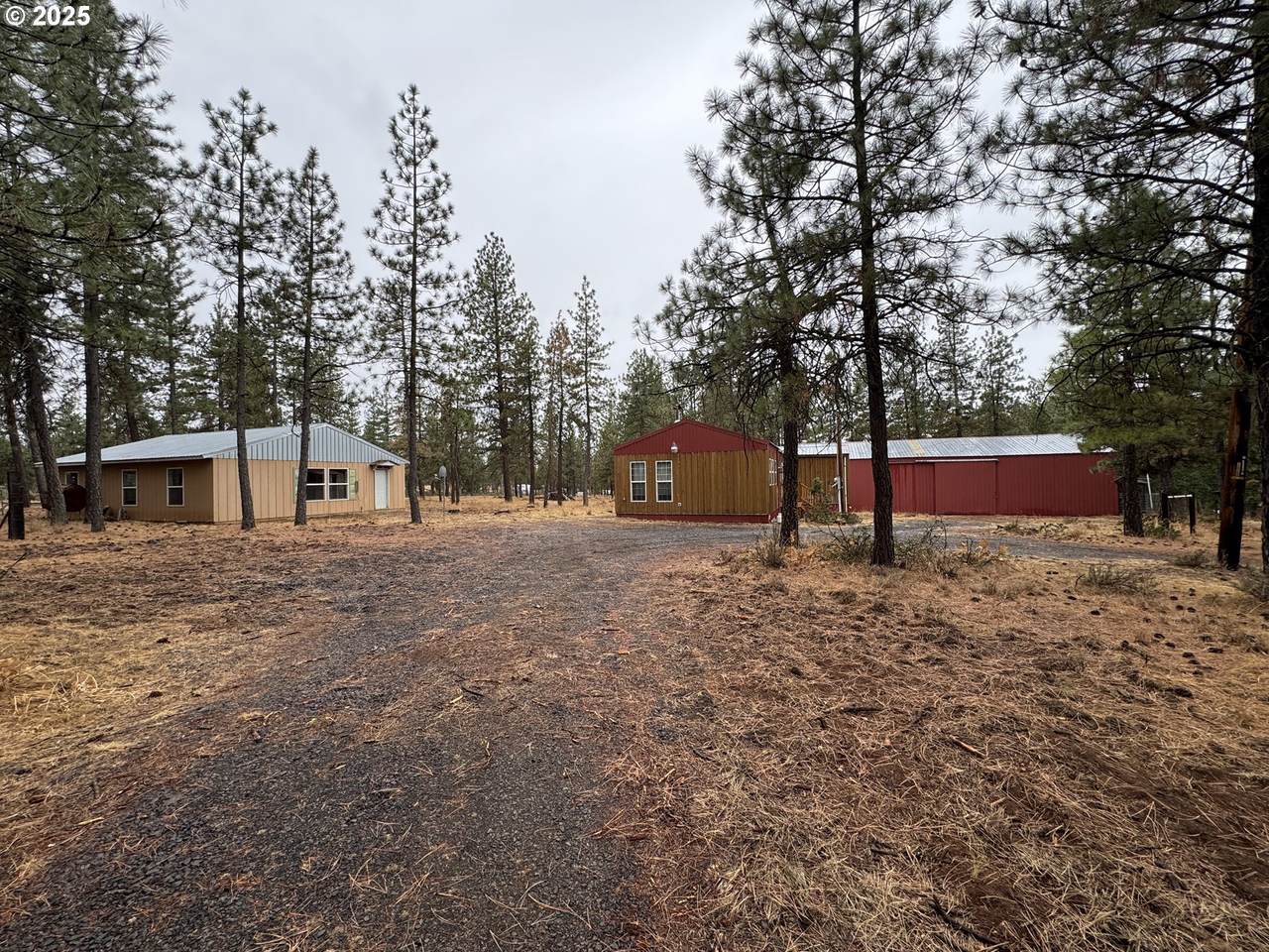 531 Cushman Rd - Photo 1