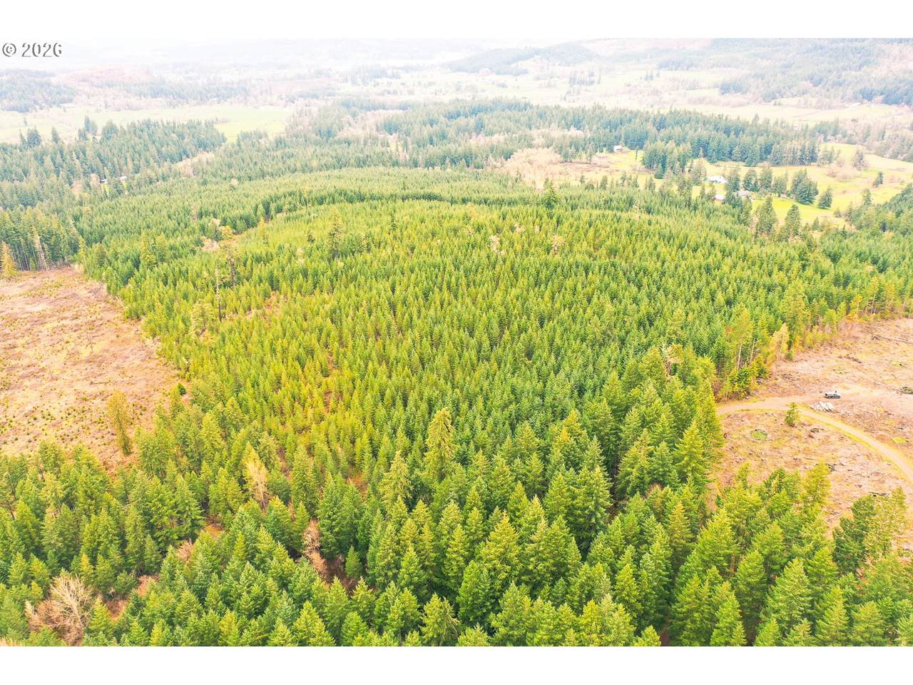  Anthony Creek Rd - Photo 1