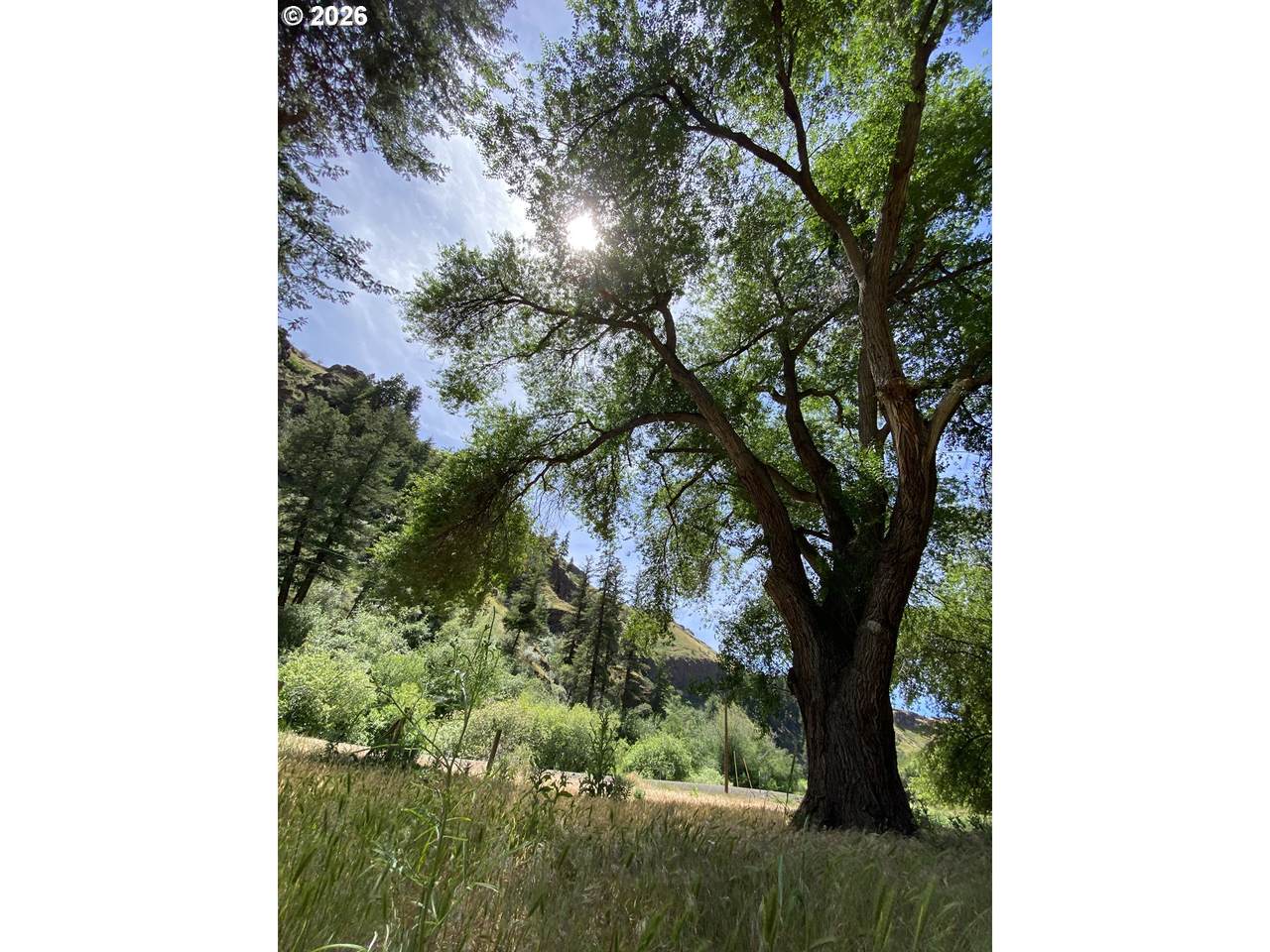 74170 Imnaha Highway - Photo 1