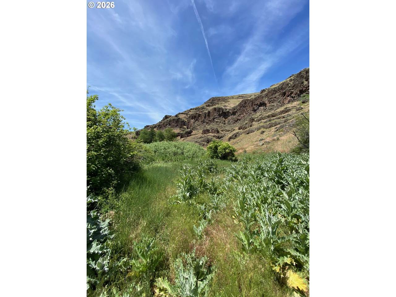https://bt-photos.global.ssl.fastly.net/portland/1280_boomver_2_304619393-2.jpg
