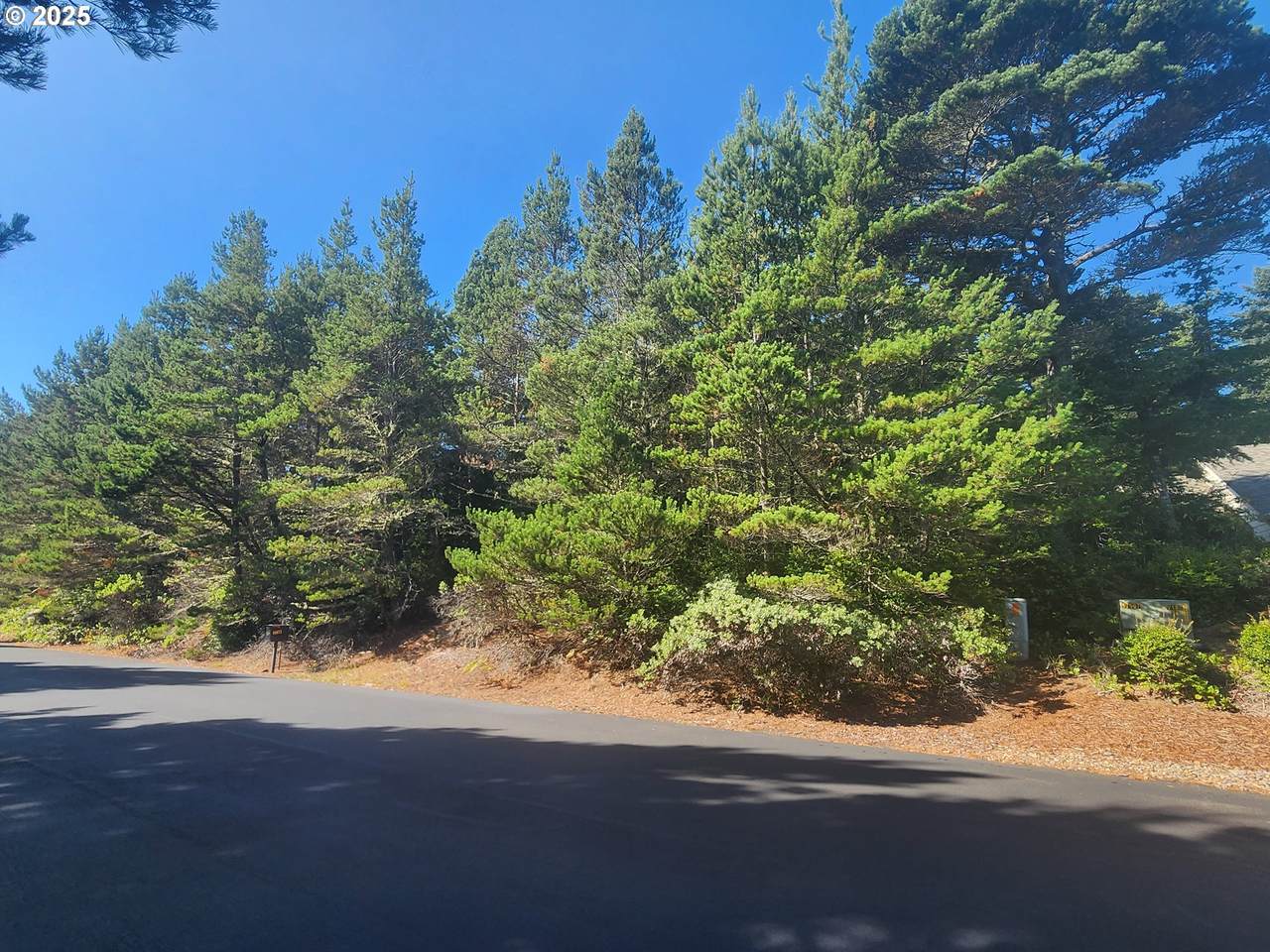 0 Windleaf Way - Photo 1