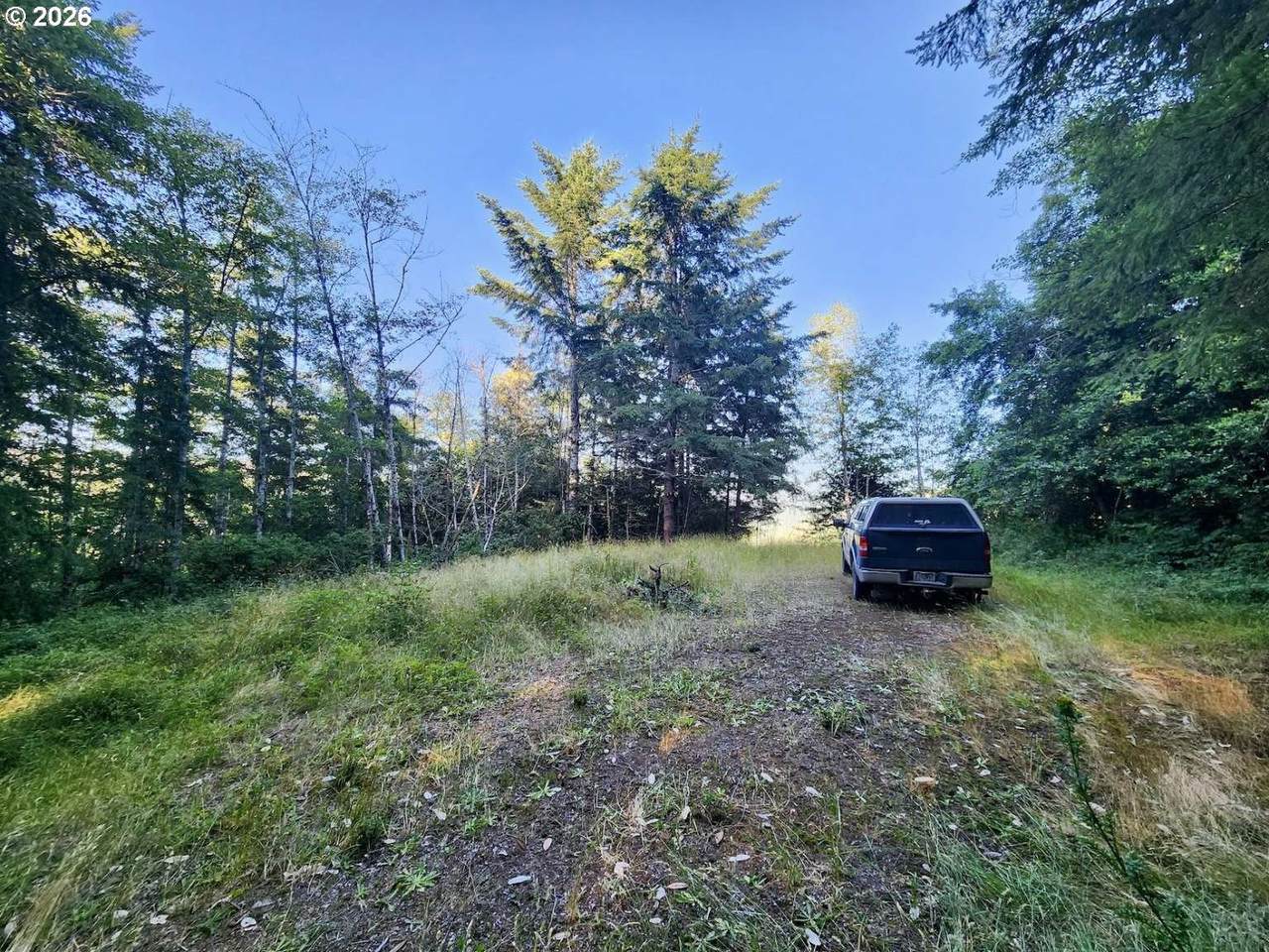 0 Salmonberry Rd - Photo 1