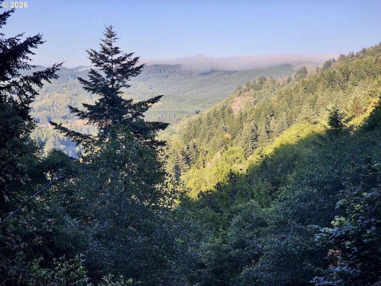 https://bt-photos.global.ssl.fastly.net/portland/1280_boomver_2_320039412-2.jpg