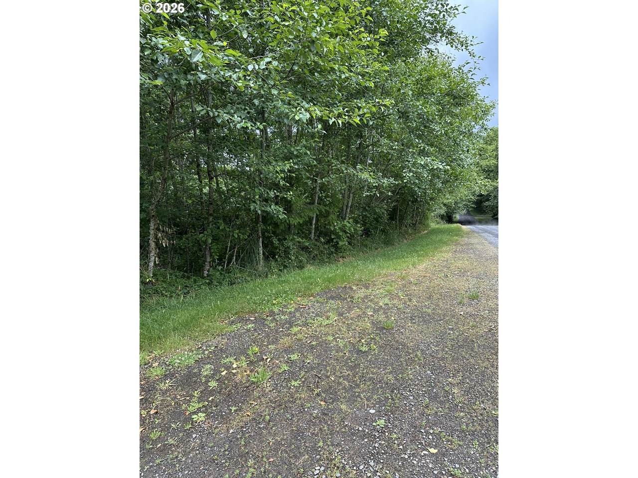 488 Ravenwood Rd - Photo 1