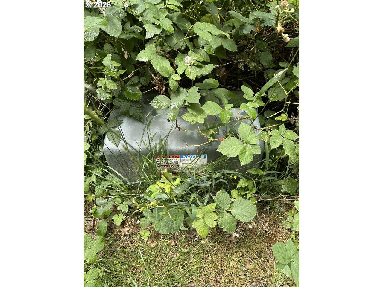 https://bt-photos.global.ssl.fastly.net/portland/1280_boomver_2_336332599-2.jpg