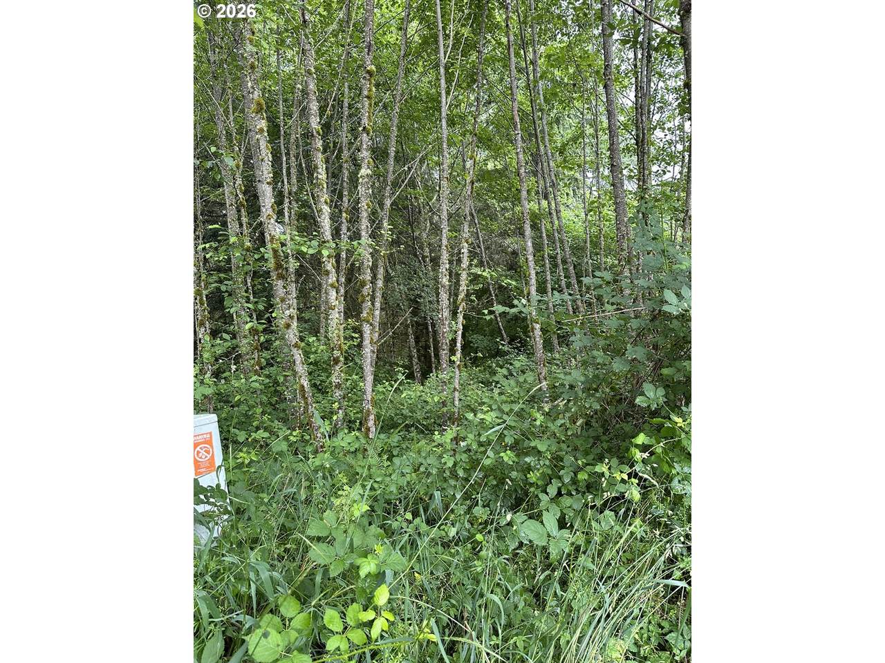 https://bt-photos.global.ssl.fastly.net/portland/1280_boomver_2_336332599-2.jpg