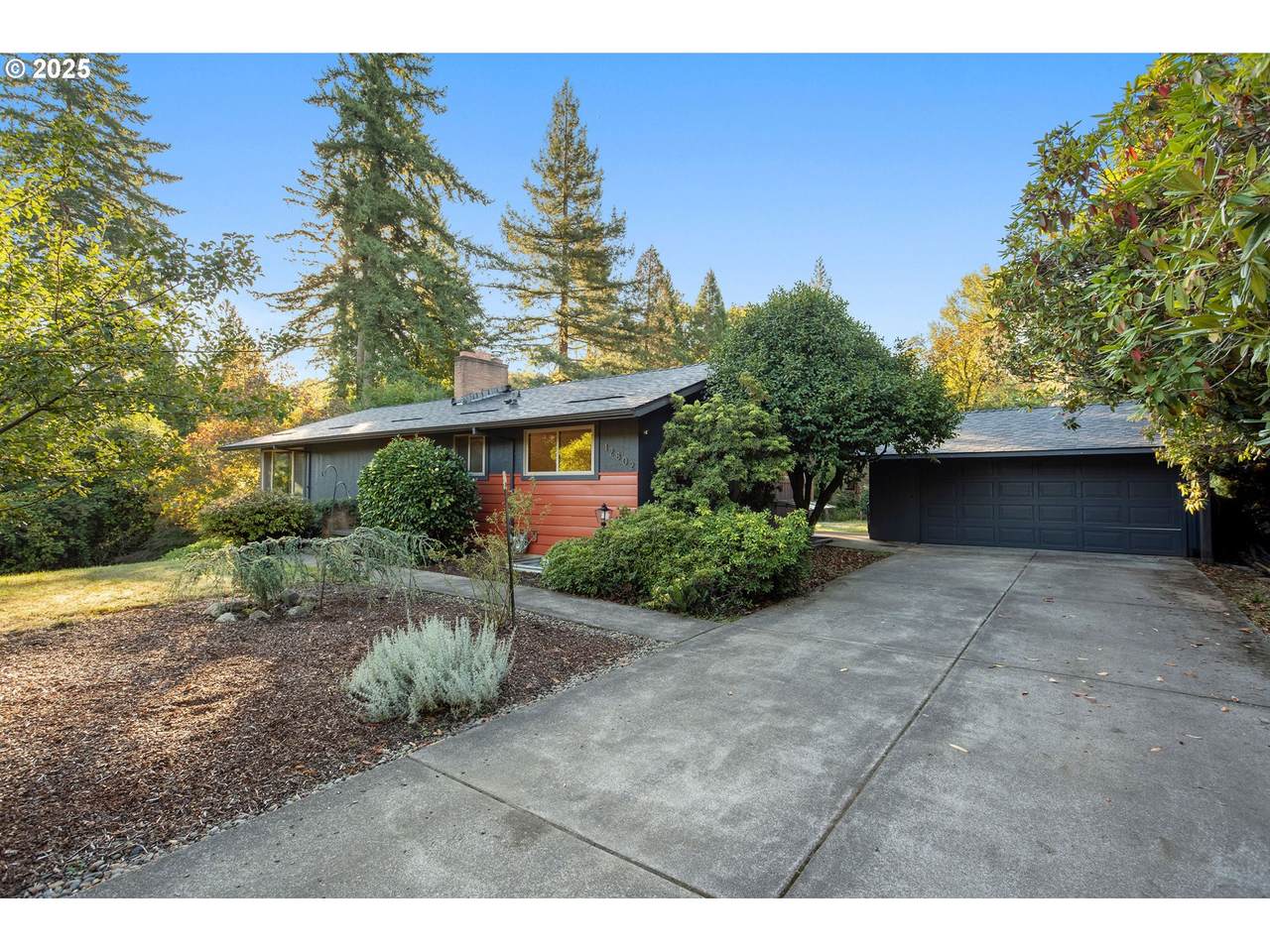 12802 Knapp St - Photo 1