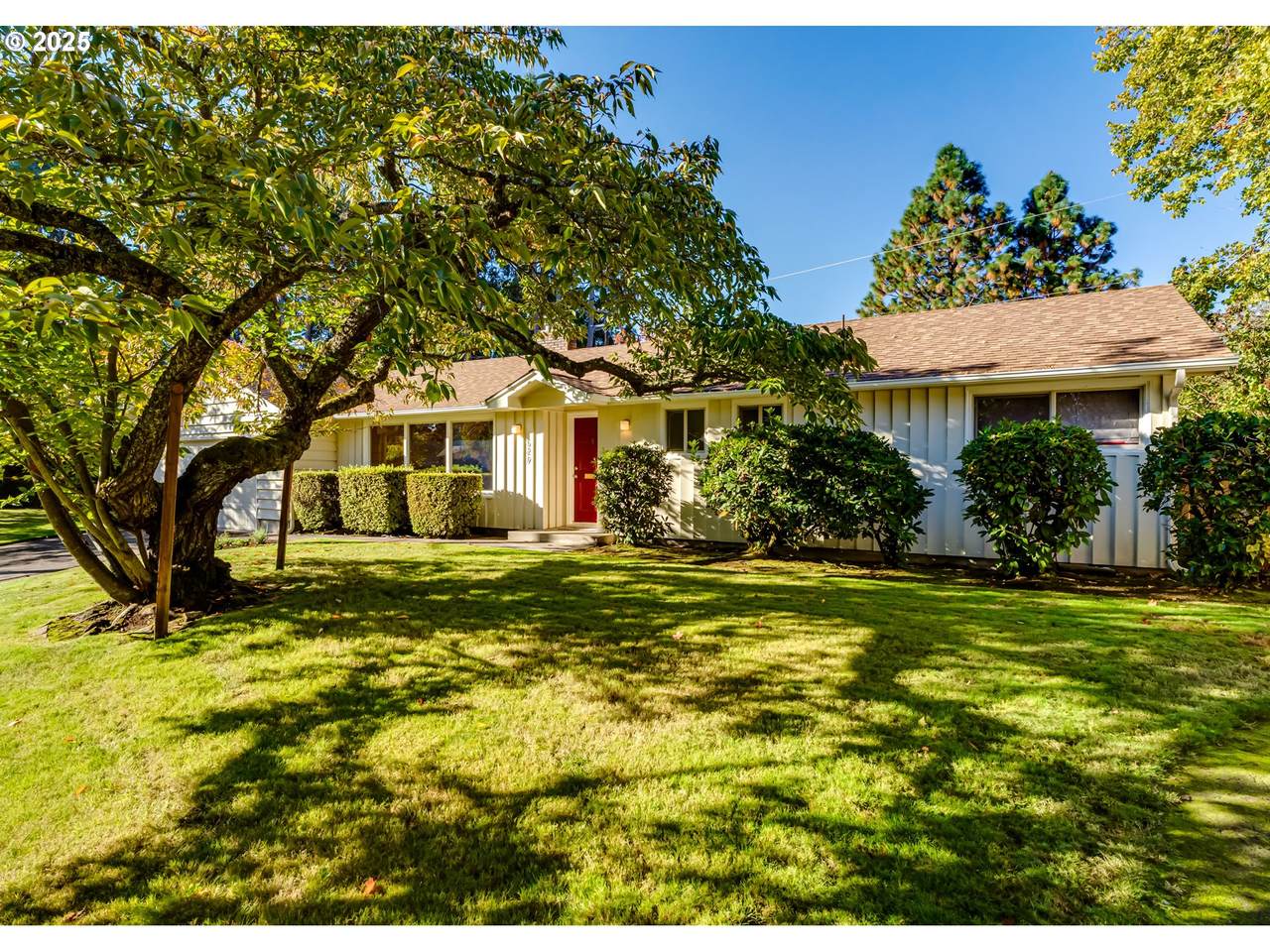 529 Antelope Way - Photo 1