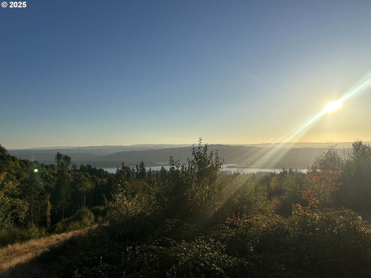 900 China Garden Rd - Photo 1