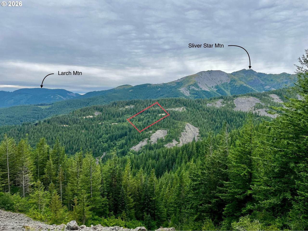  Snag Mountain Rd - Photo 1
