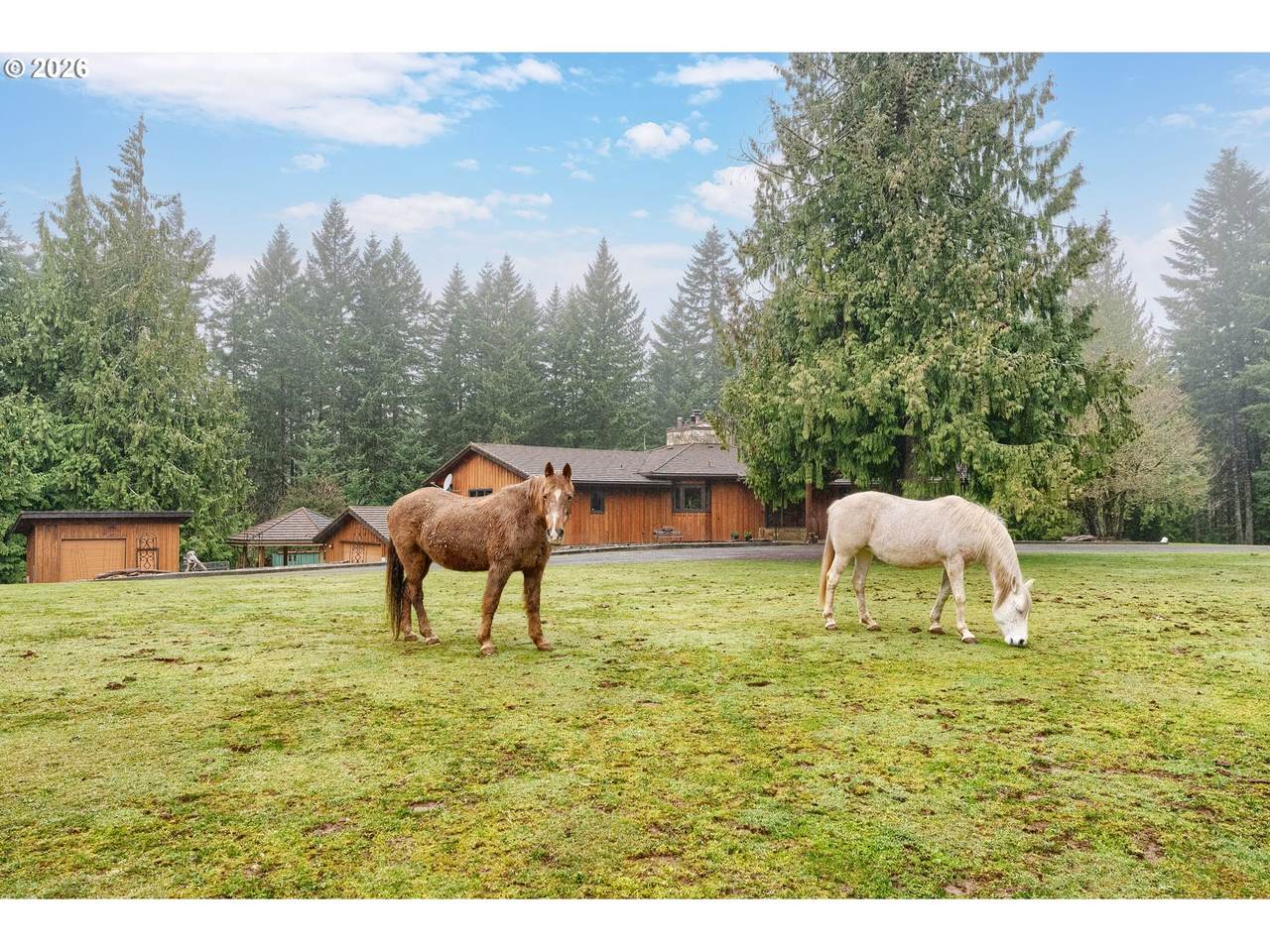 https://bt-photos.global.ssl.fastly.net/portland/1280_boomver_2_375421157-2.jpg