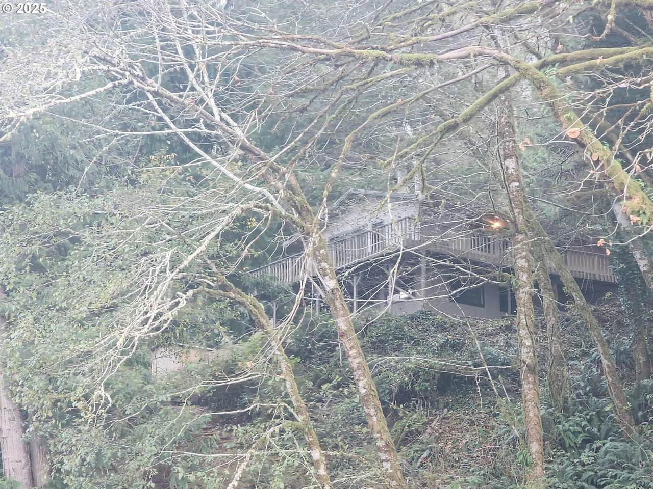 763 Tenmile - Photo 1