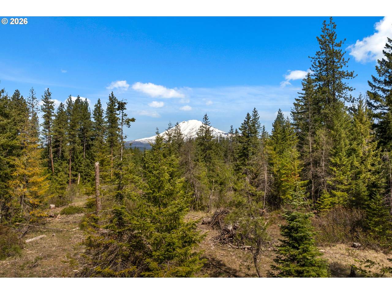  Lonesome Pines Dr - Photo 1