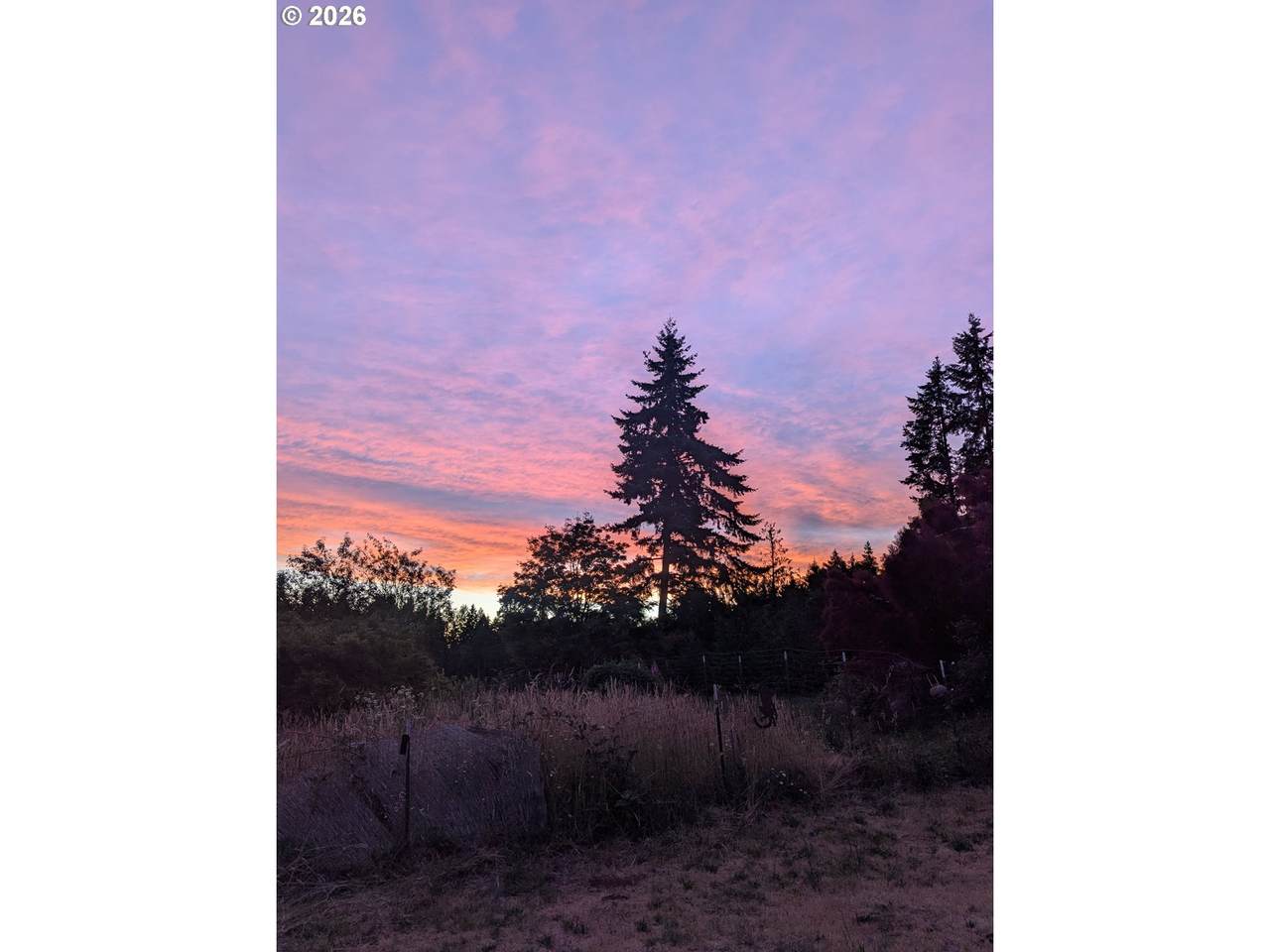 https://bt-photos.global.ssl.fastly.net/portland/1280_boomver_2_426130455-2.jpg
