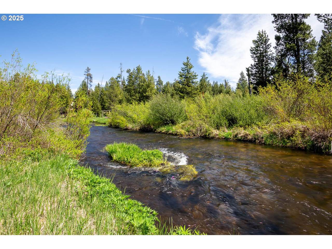  Teatable Ct - Photo 1