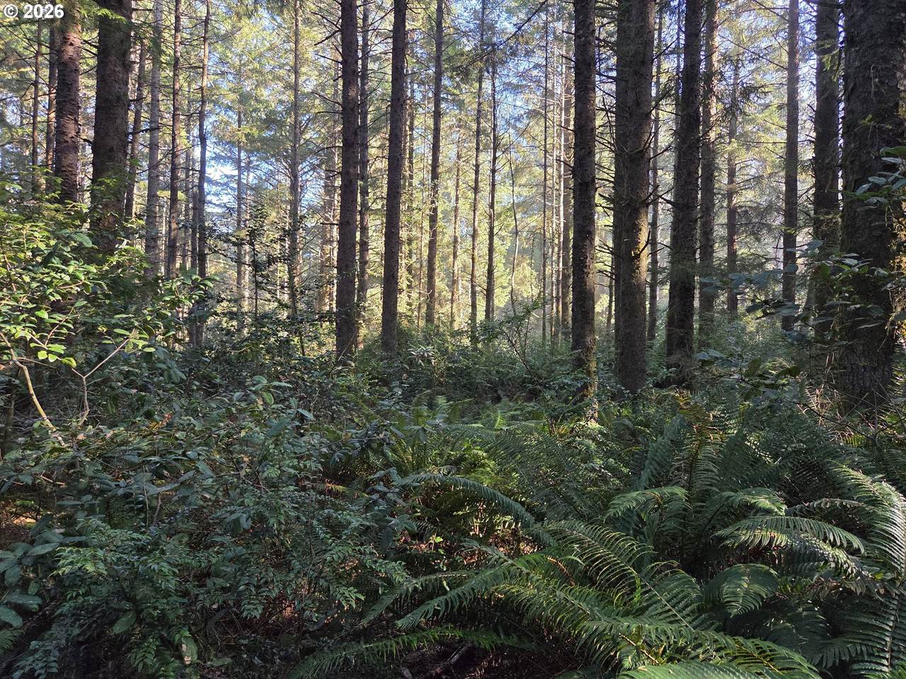 https://bt-photos.global.ssl.fastly.net/portland/1280_boomver_2_436715512-2.jpg
