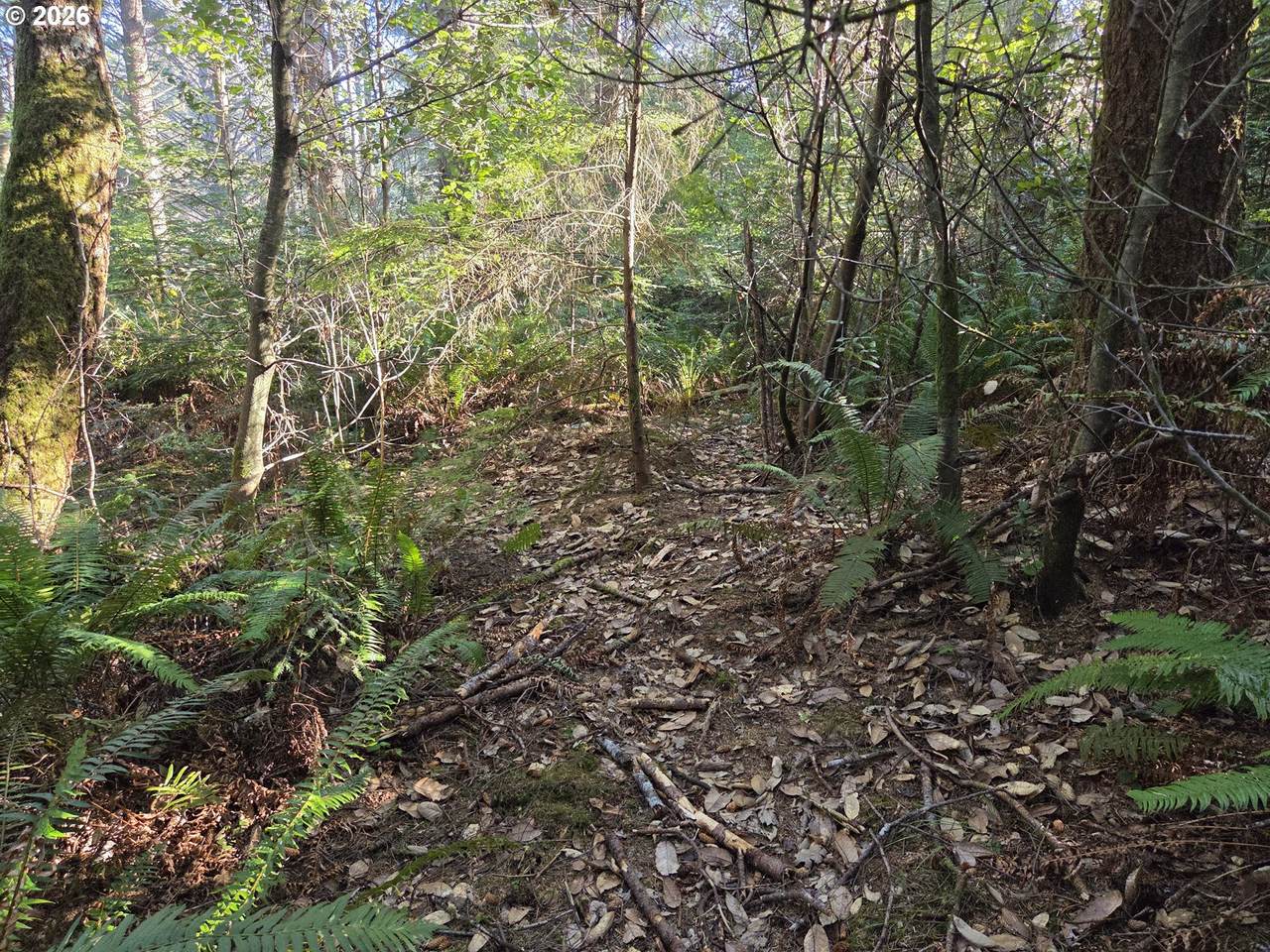 https://bt-photos.global.ssl.fastly.net/portland/1280_boomver_2_436715512-2.jpg