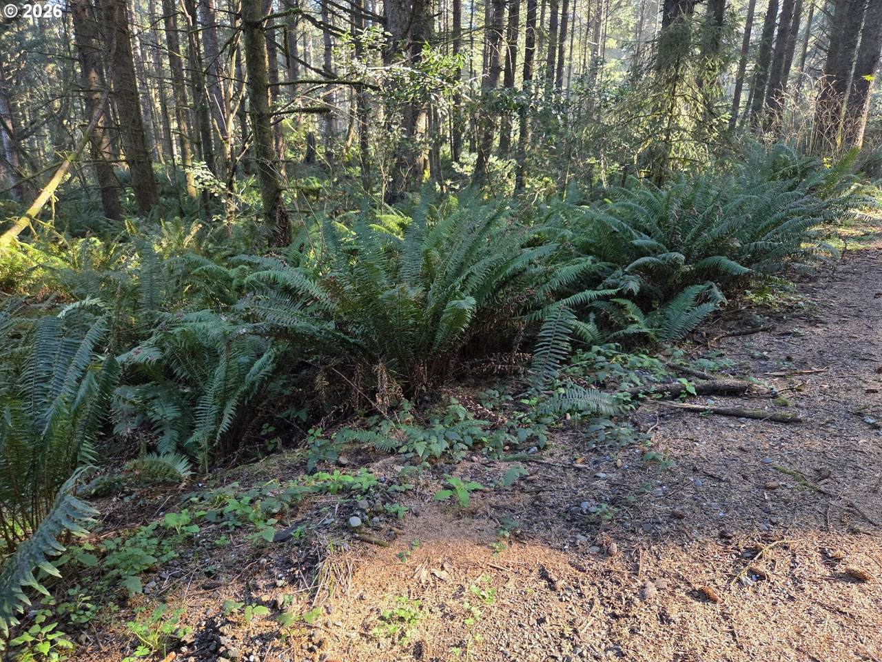 https://bt-photos.global.ssl.fastly.net/portland/1280_boomver_2_436715512-2.jpg