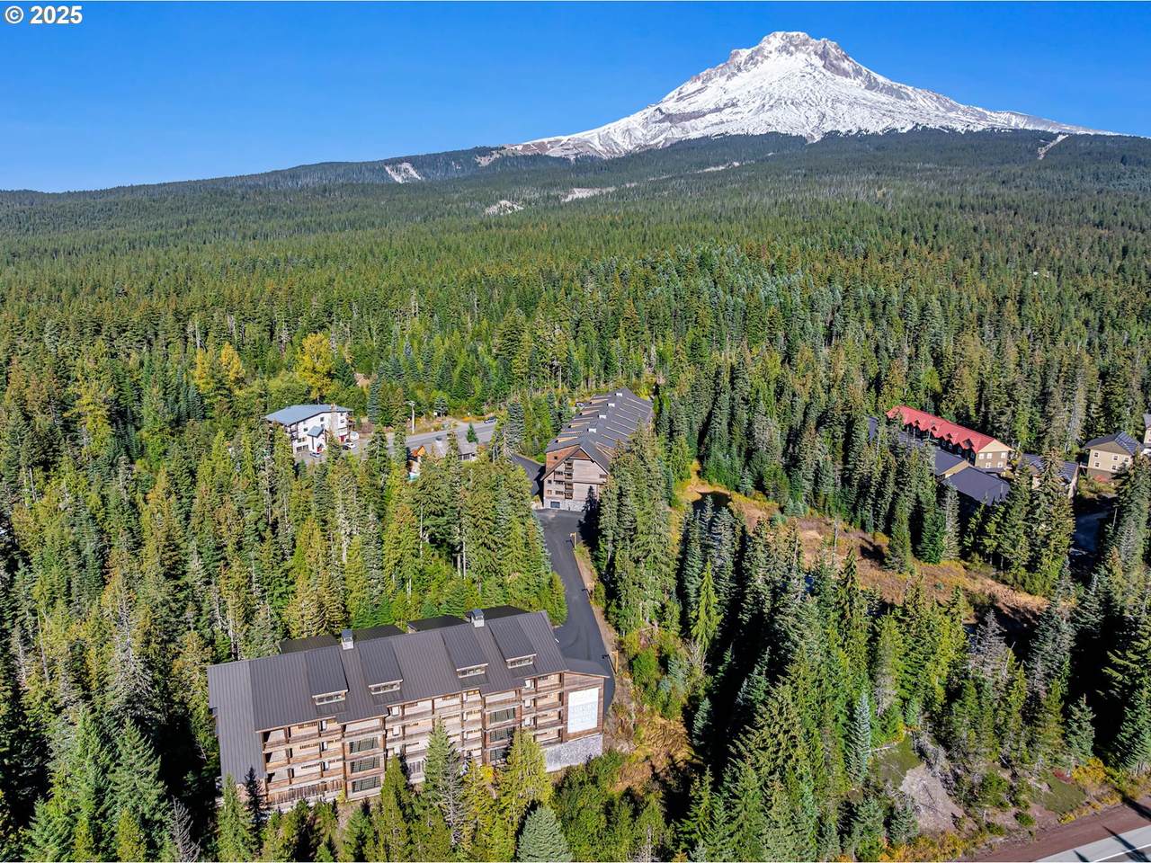 31254 Collins Lake Rd - Photo 1