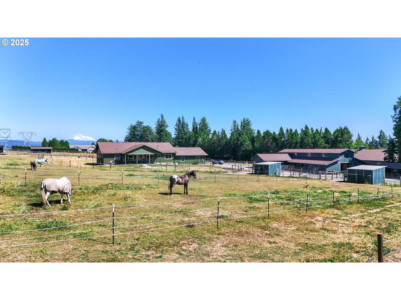 31708 Wand Rd - Photo 1