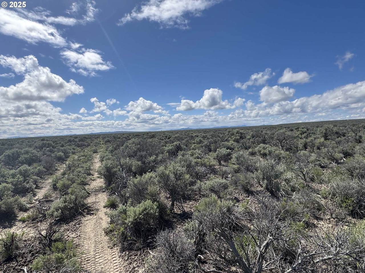  Lost Forest Ln - Photo 1