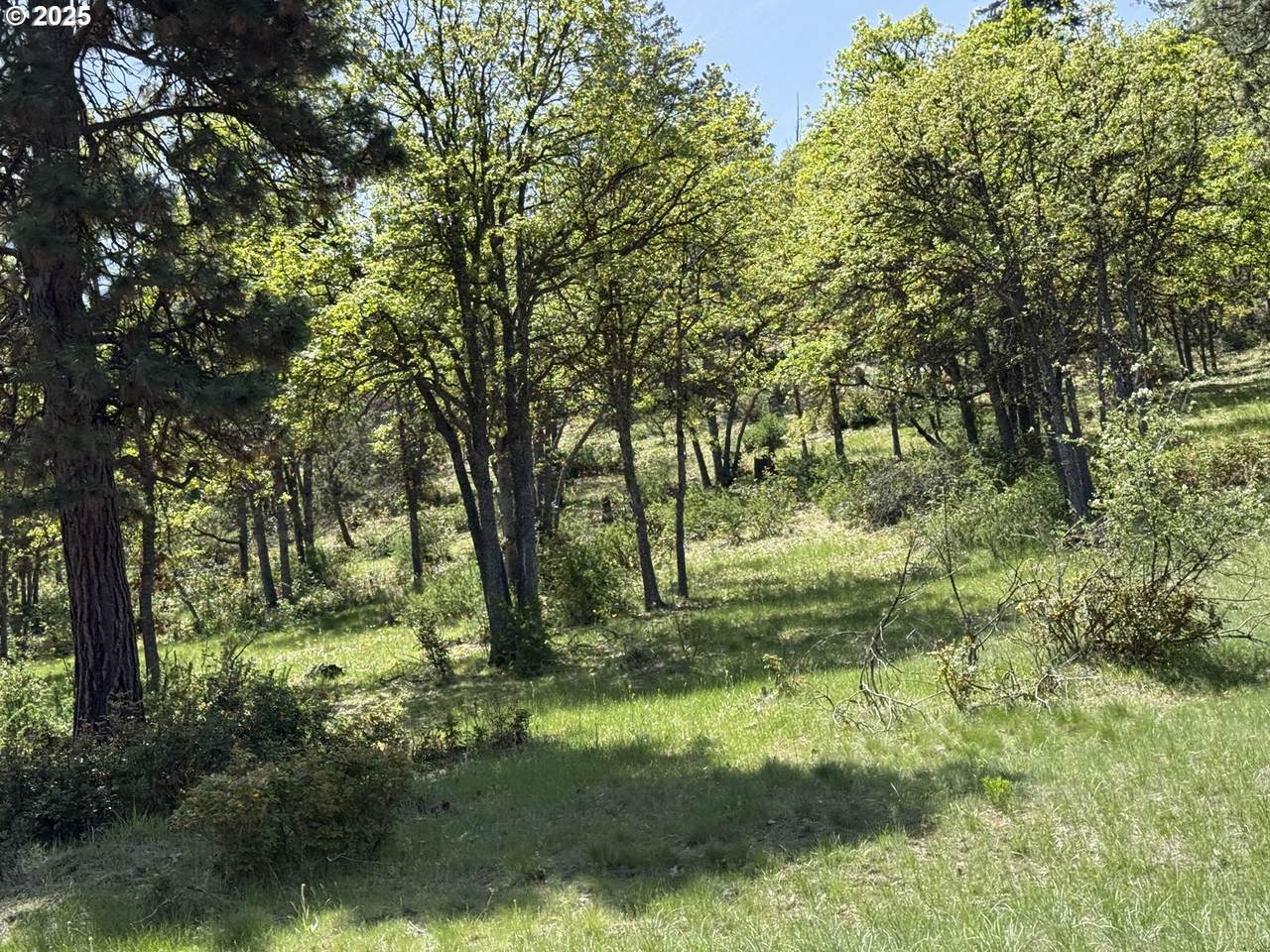  Coopers Hawk Rd - Photo 1