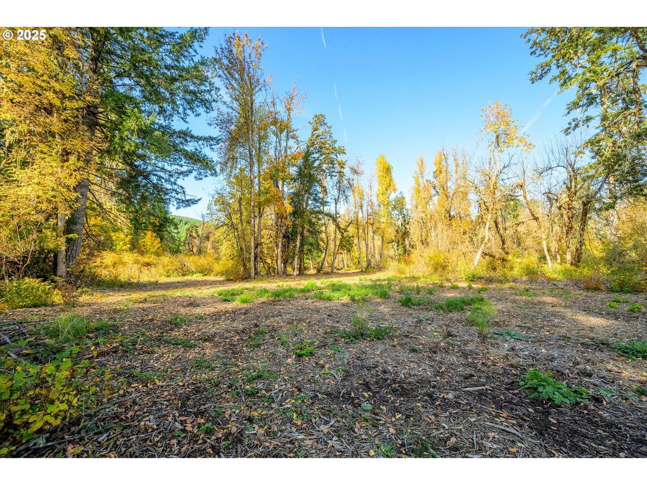  Siuslaw River Rd - Photo 1