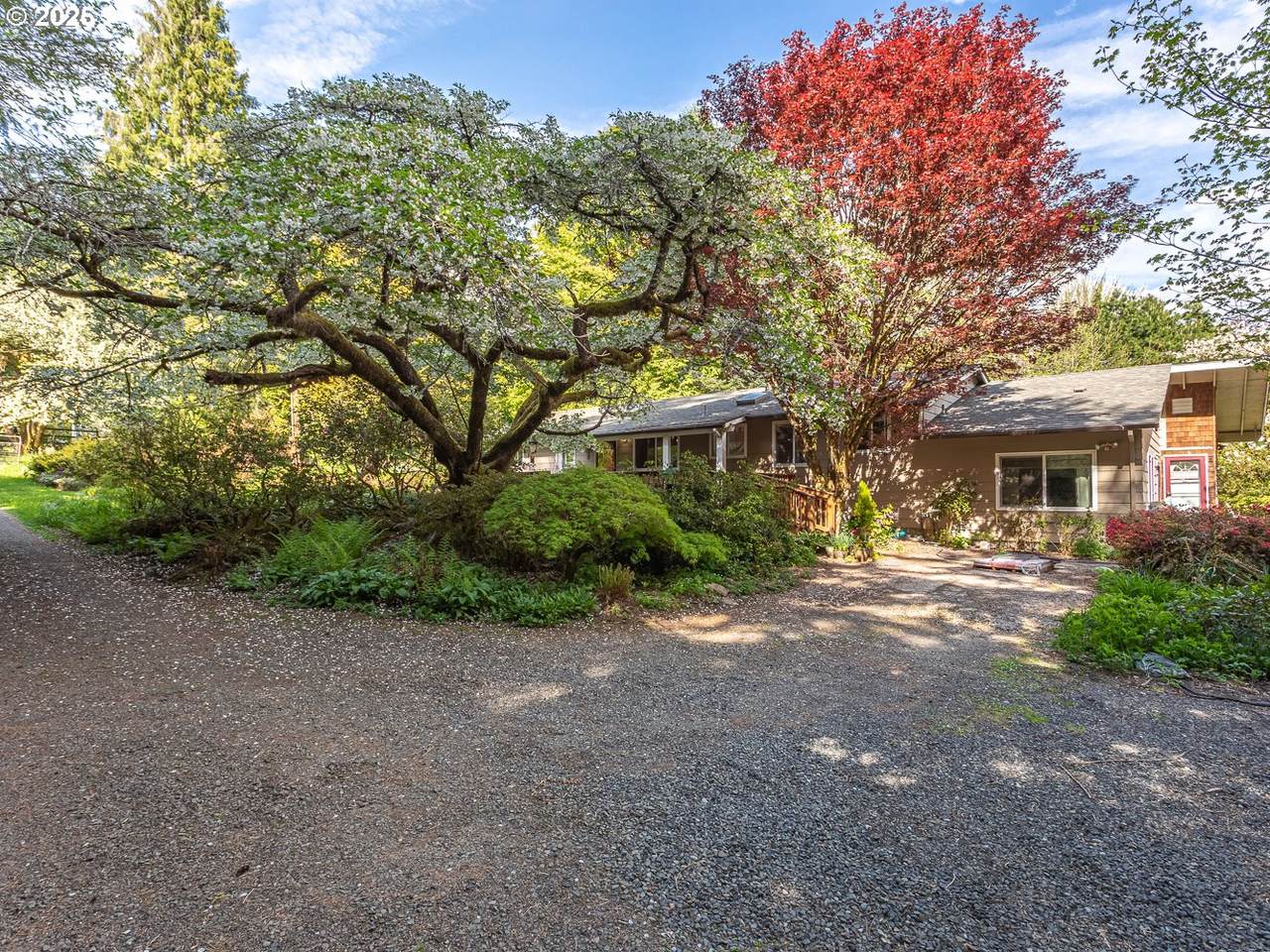 50010 Coalman Rd - Photo 1