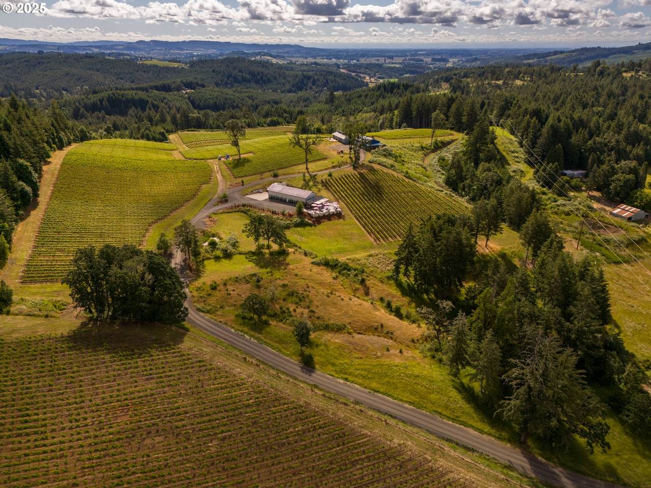12000 Old Wagon Rd - Photo 1